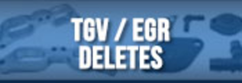 TGV / EGR Deletes